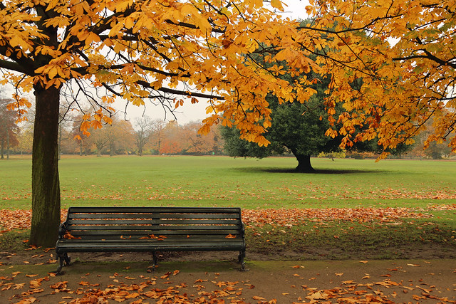 Bench in autumnal Greenwich Park