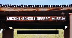 Nov. 28, 2012 - Arizona-Sonora Desert Museum