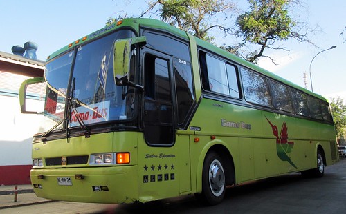 Gama Bus
