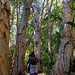 East Maui Rainforest Hike