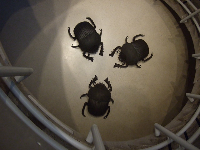 beetles8