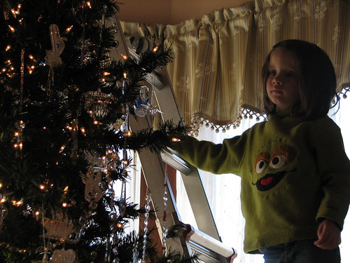 decorating the "glass" tree