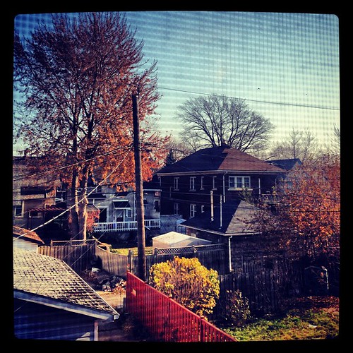 #FMSphotoaday November 16 - The view from your window