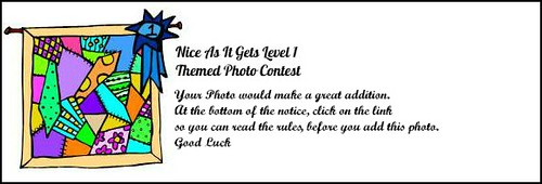 contest notice1