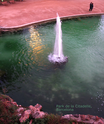 couple-pond-text-barcelona-2012-0271