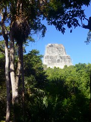 Belize Vol 3 - Tikal, Guatemala