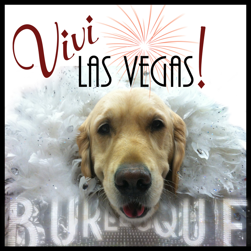 Vivi Las Vegas! ::: Burlesque :::