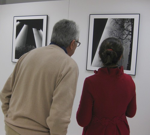 Exposición Quercus IP - FOCO Gallery. Fotos de Carlos Balsalobre