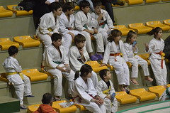 Finale Judogiocando 25 Novembre 2012