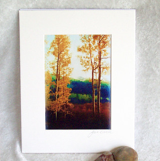 Faded Aspens matted print-005