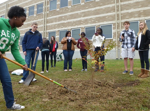 Crepe Myrtle planting, Class of 2016, Caddo Magnet HS, Shreveport by trudeau