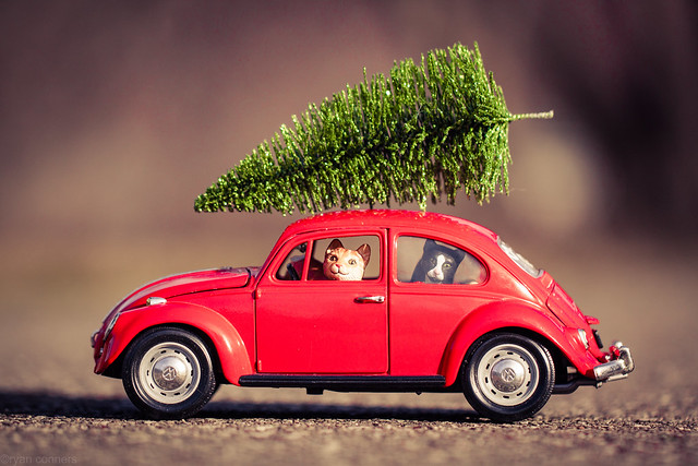 VW Christmas Tree