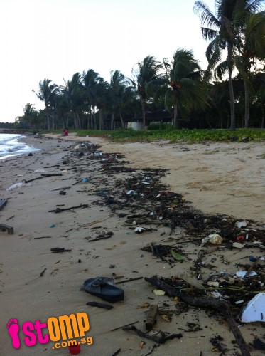 Is this really Singapore? Pasir Ris shoreline covered with rubbish