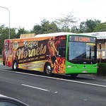 Hornibrook Bus Lines Clontarf