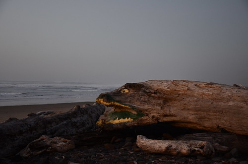 sea serpent on the Oregon Coast