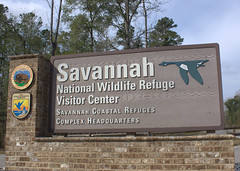 Savannah National Wildlife Refuge
