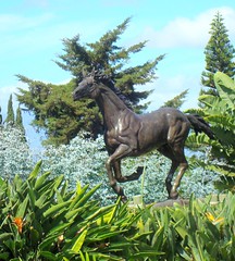 bronze_horse