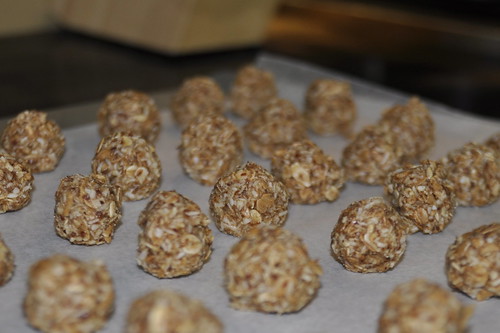 Holiday Recipe Week, Day 4: Coconut Bliss Balls