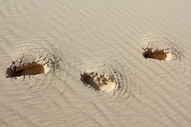Monster footprints