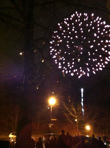 fireworks in prospect park