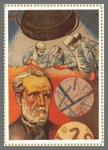 Louis Pasteur. Illustration sur soie