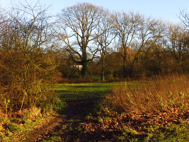 Hampstead Heath Extension