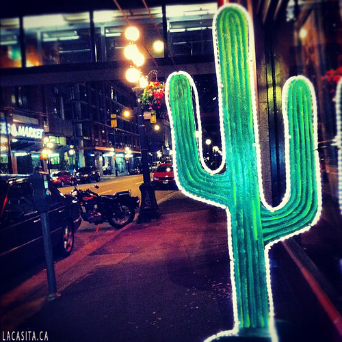 amplepie cactus in gastown vancouver bc