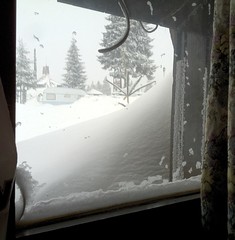 Nearly snowed in