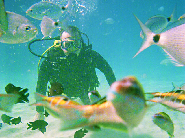 Undersea world in Lanzarote