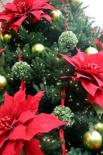 Poinsetta-Christmas-Tree