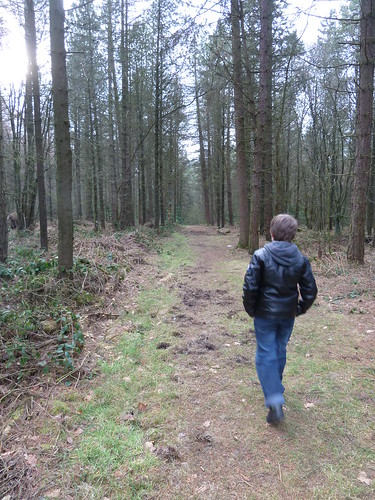 Walking in one of the Forestry Commission Woods at Matlock Moor