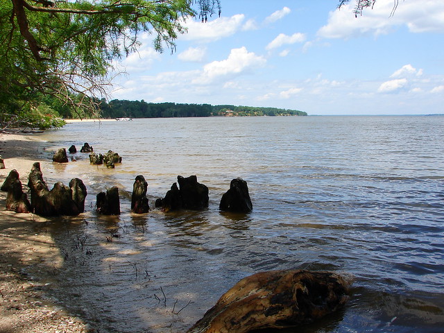 Virginia's 35 state parks are a tonic for the mind, body and spirit. View of the James River from Chippokes Plantation State Park.