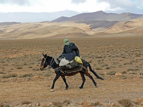 Hombre en mula (Atlas Medio, Marruecos)