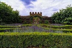 Kenilworth Castle Gardens