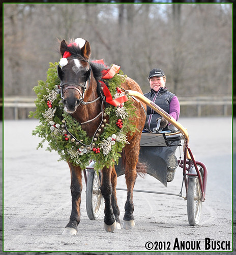 Jingle bells, jingle bells, jingle all the way... Oh what fun it is to ride in a one-horse open... jog cart!