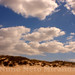 Beach dunes under cloudy sky