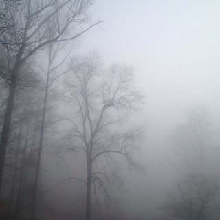 Foggy morning.