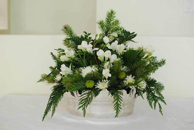 Green and White winter flowers