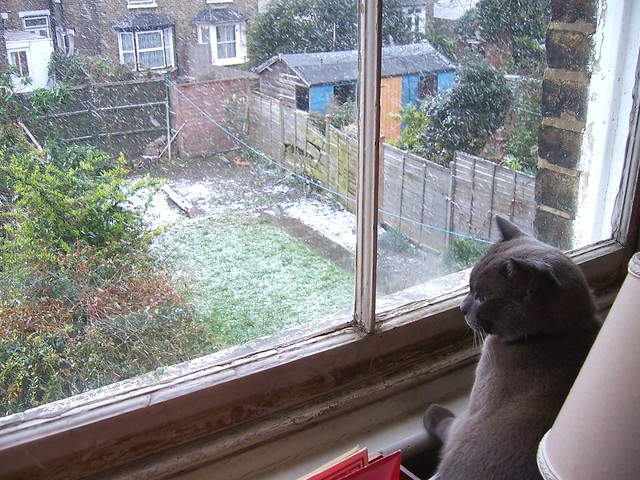 January - snow in London