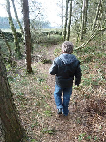 Walking in one of the Forestry Commission Woods at Matlock Moor