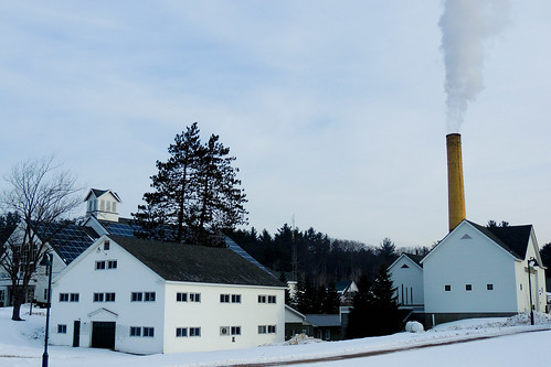 Biomass Steam PLant