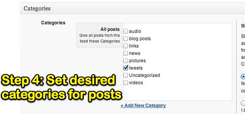 Set Desired categories for posts