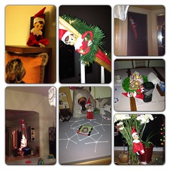 Elf on the shelf antics 2012 (3)