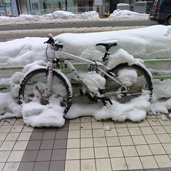 Cycling Sapporo