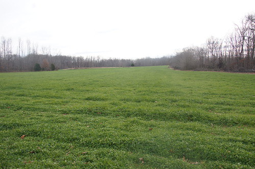 The Cutliffs participated in NRCS drought conservation practices, including pasture reestablishment to improve their farm and protect natural resources.