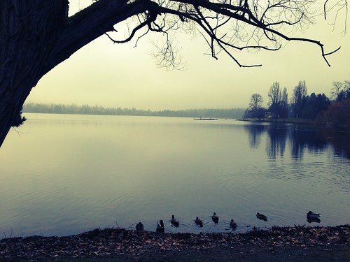 Greenlake (in the morning)