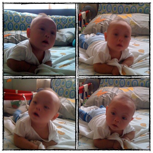 good morning! our little champ says hi! :D