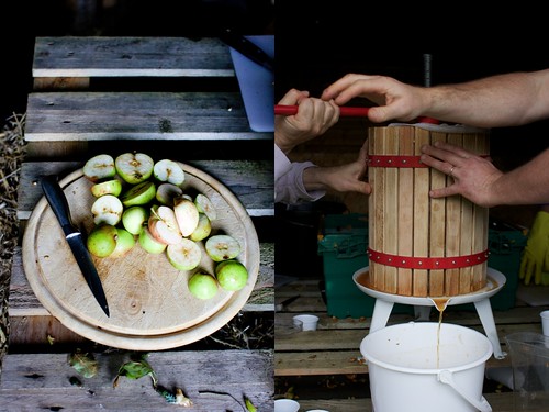 Old school apple pulping and pressing