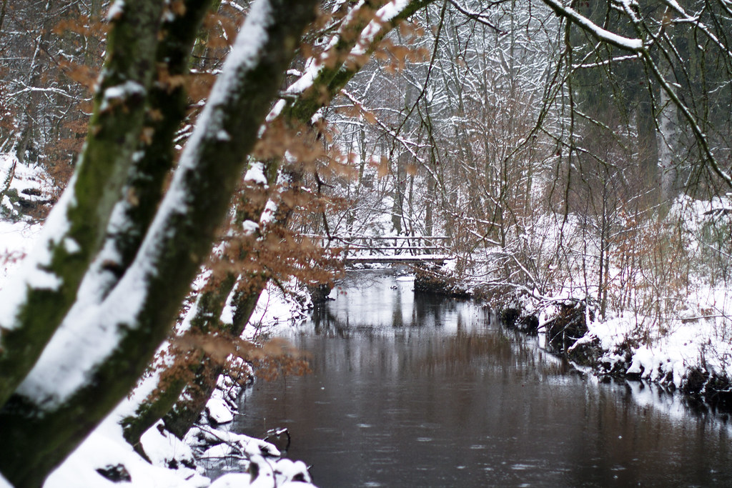 bridge over the river in the snowy woods