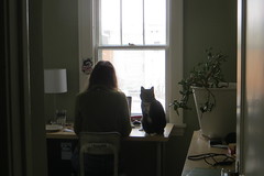 Working from home - Maggie & Hobo by tbone_sandwich
